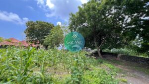 view from the back of the beach frontage land for sale in Amed