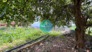 view from road to freehold absolute beach frontage land for sale in Amed